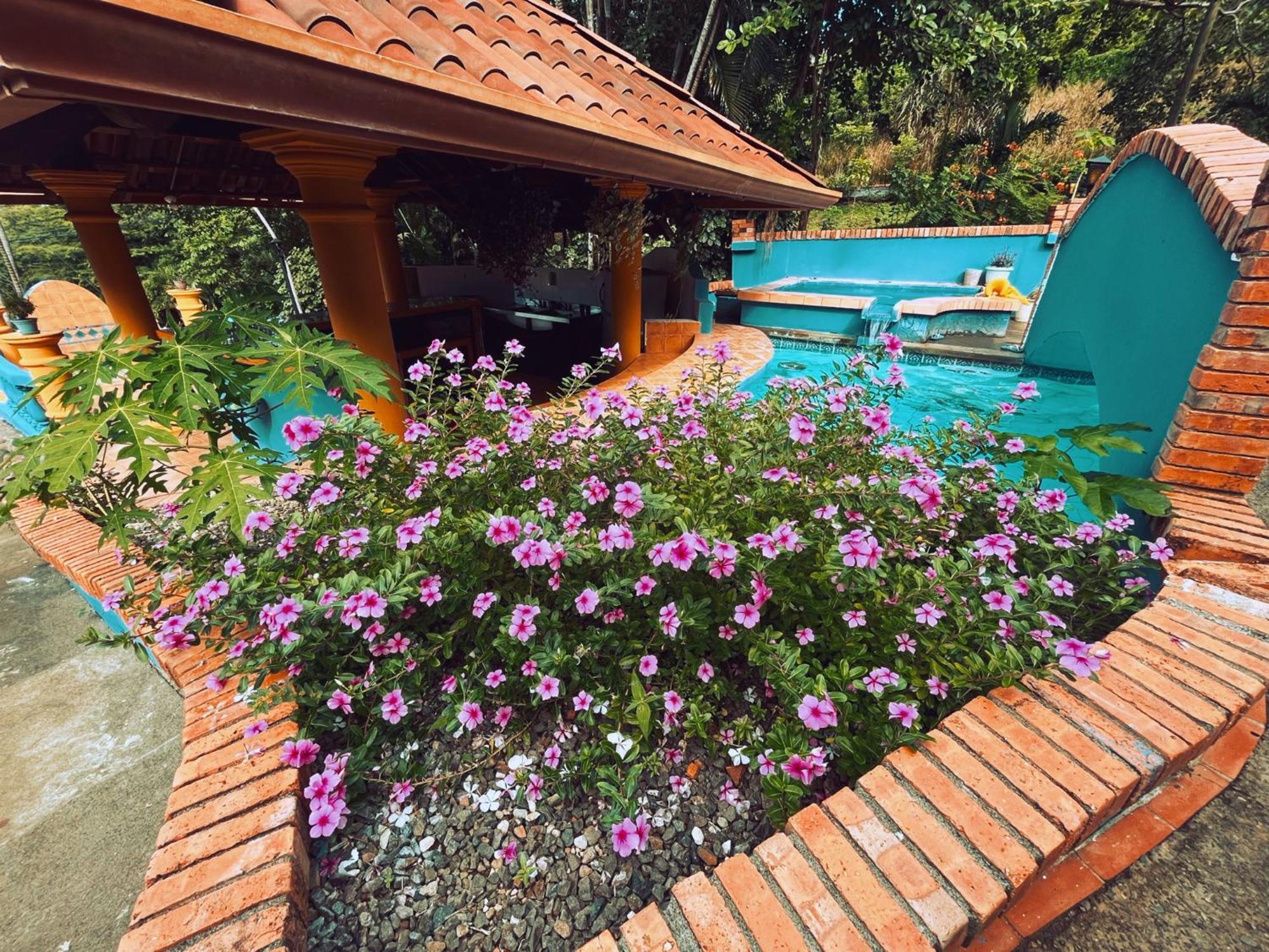 Siwo Art Guesthouse Playa Ocotal Екстериор снимка